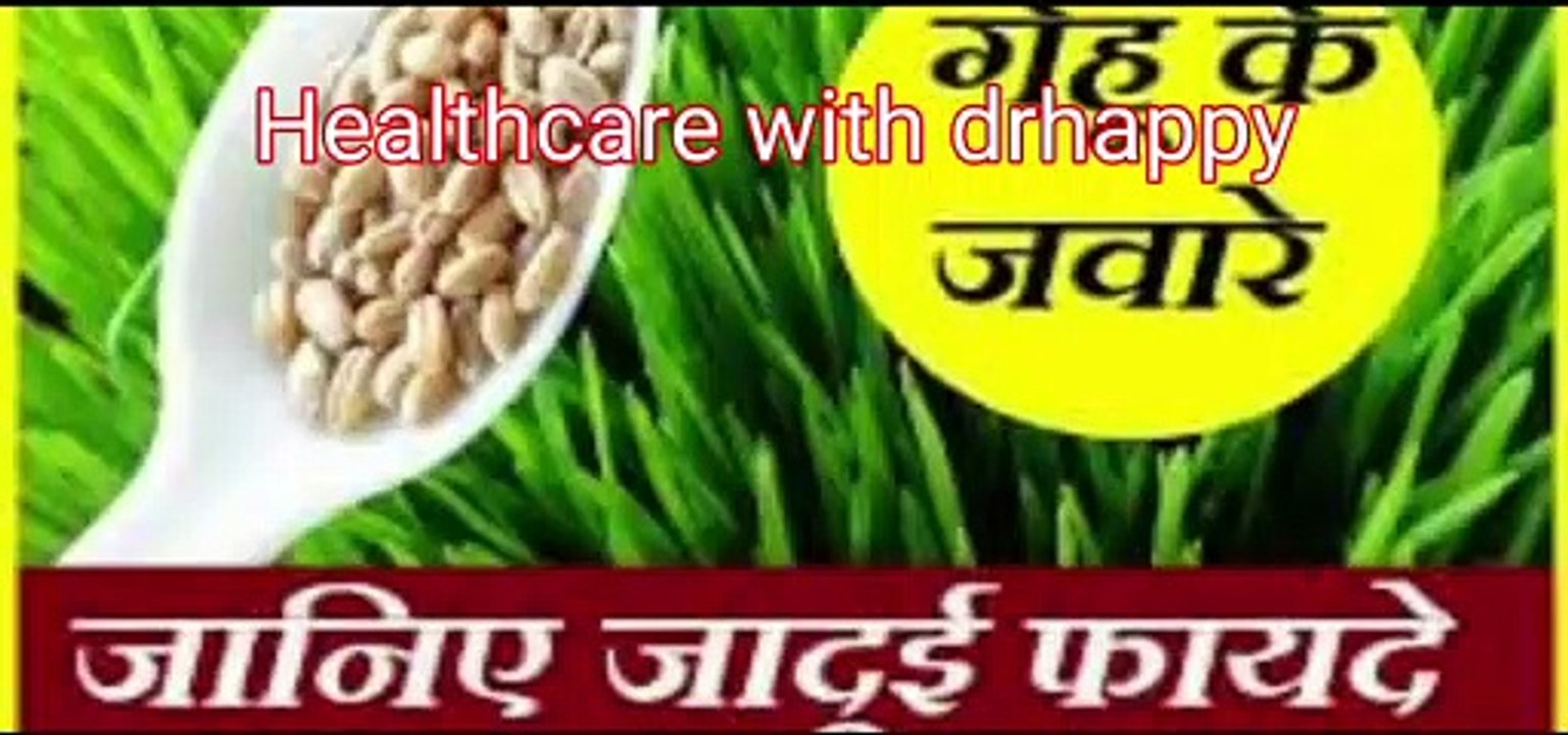 Wheatgrass juice benefits व्हीटग्रास क्या है व्हीटग्रास के फायदे धरती की संजीवनी है गेहूं के जवारे