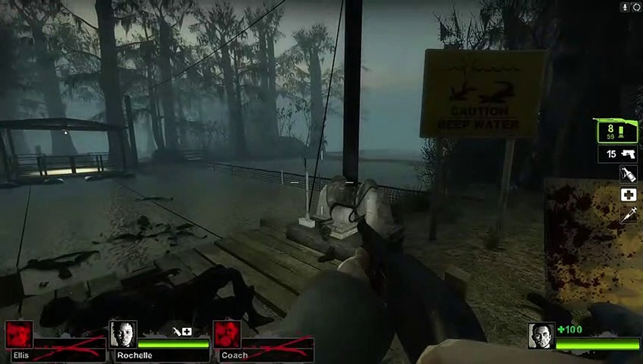 WTF was that - L4D2