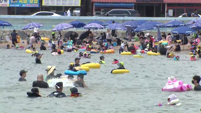 본격적인 '삼복더위' 시작...해수욕장 찾는 피서객 발길 / YTN