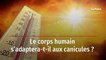 Le corps humain s’adaptera-t-il aux canicules ?