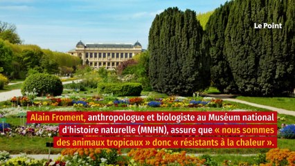Le corps humain s’adaptera-t-il aux canicules ?