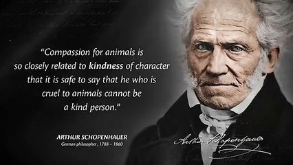 Arthur Schopenhauers Quotes