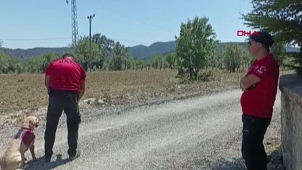 AKSEKİ'DE KAYBOLAN YAŞLI KADIN, 6 GÜNDÜR ARANIYOR