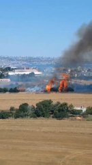 Son dakika... BÜYÜKÇEKMECE'DE ANIZ YANGINI AYÇİÇEK TARLALARINA SIÇRAMADAN SÖNDÜRÜLDÜ