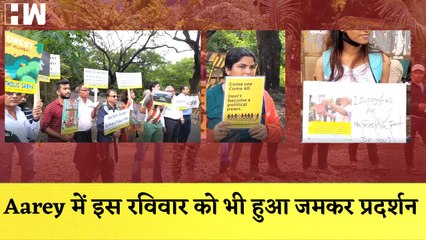 Aarey में इस रविवार भी जमकर हुआ प्रदर्शन, शांतिपूर्ण तरीके से हुआ प्रदर्शन | Aarey Forest |