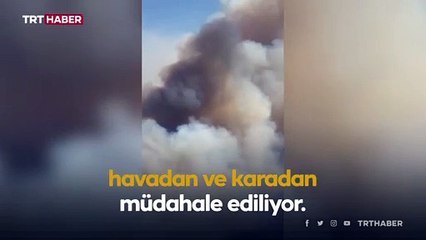 Balıkesir'de orman yangını