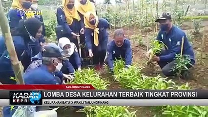 Lomba Desa Kelurahan Tingkat Provinsi 2022