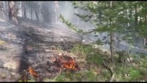 Ormanlık alanda çıkan örtü yangın söndürüldü