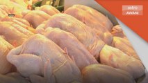 Bekalan Makanan | Koperasi digalak terlibat dalam ternakan dan import ayam