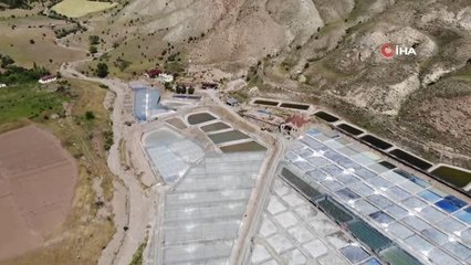 Bunaltıcı sıcaklar 3 bin yıllık Kemah tuzuna bereket getirdi