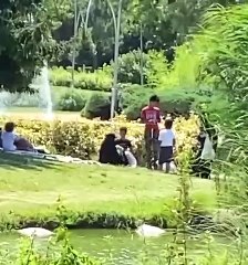 Bahçeşehir Gölet'te kazların çalınmasıyla ilgili görüntülere Emniyet'ten açıklama