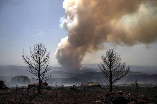 İspanya'daki orman yangınında 2 bin hektarlık alan küle döndüYangında kundaklama şüphesi