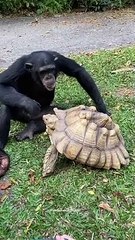 Paylaşmak hiç bu kadar güzel olmamıştı
