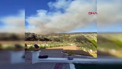 Son dakika haberleri: AYDIN'DA ORMAN YANGINI