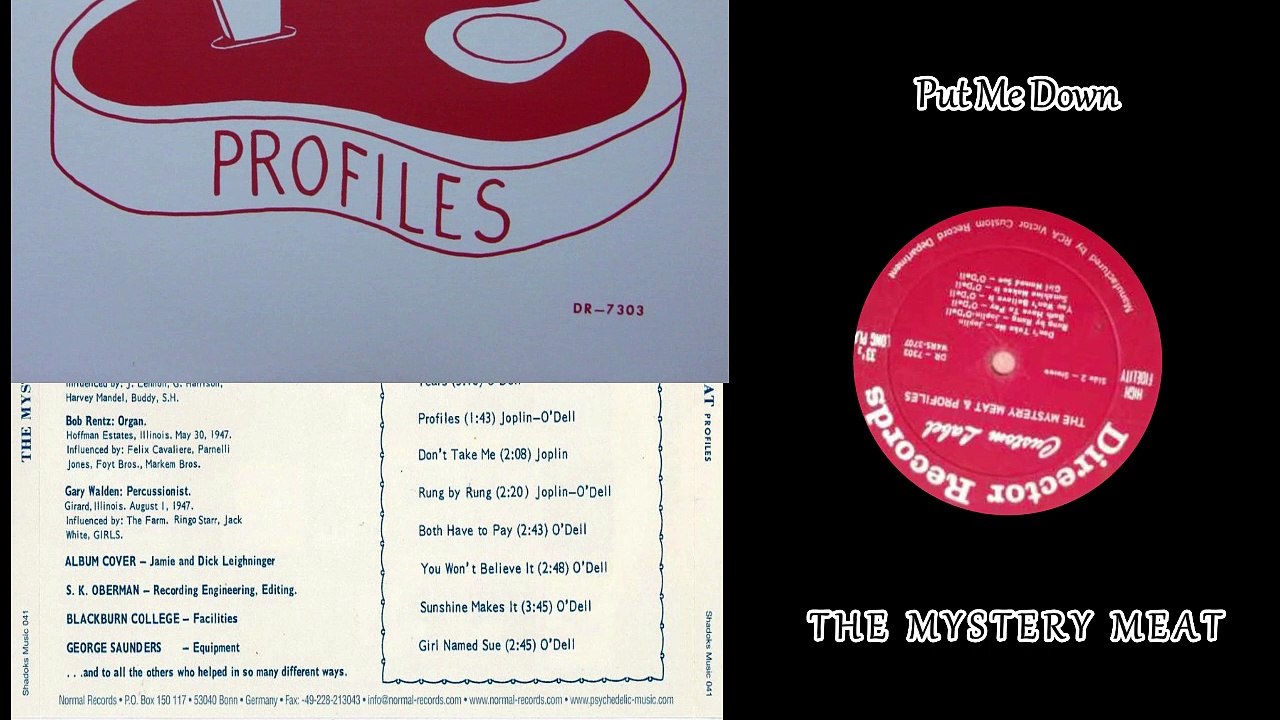 The Mystery Meat ‎- Profiles 1968 (USA, Garage/Psychedelic Rock)