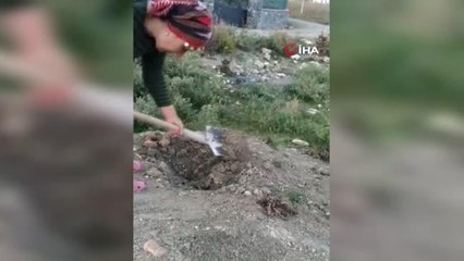 Pompalı tüfekle öldürülen kedisini "kızım" diyerek gözyaşlarıyla toprağa verdi