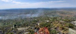Son dakika: Slovenya'da çıkan orman yangınında 1000 hektarlık alan yok oldu
