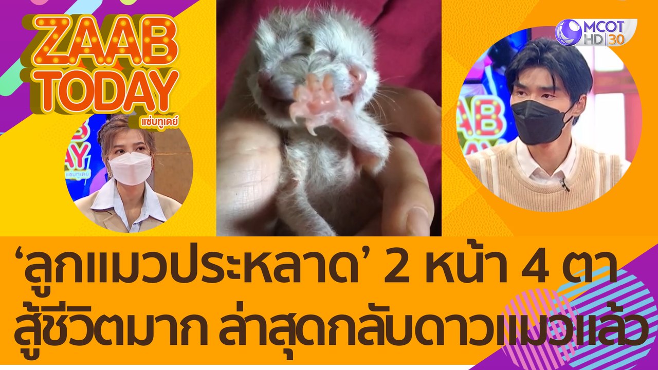 ฮือฮา! 'ลูกแมวประหลาด' 2 หน้า 4 ตา เจ้าของเผย น...
