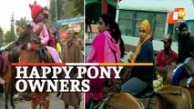 Amarnath Yatra Boon: Horse Owners’ Business Booms
