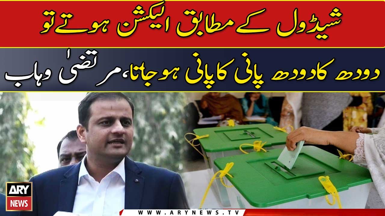 Had elections taken place on time, a clear Karachi situation would have unveiled: Murtaza Wahab