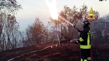 Vvf ancora al lavoro per incendio nel Carso, in azione 2 Canadair