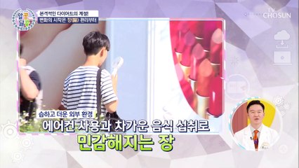 암을 불러오는 뚱보균 다이어트의 시작은 장 관리부터 TV CHOSUN 20220721 방송