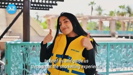 Where you can snorkel with sharks in Dubai this summer