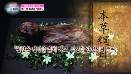 향의 다이아몬드 천년의 산삼 ‘침향’의 효능은? TV CHOSUN 220721 방송