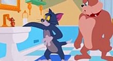 اجمل مغامرات توم وجيرى -  The most beautiful adventures of Tom and Jerry(112P)