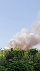 Conato de incendio en Los Realejos