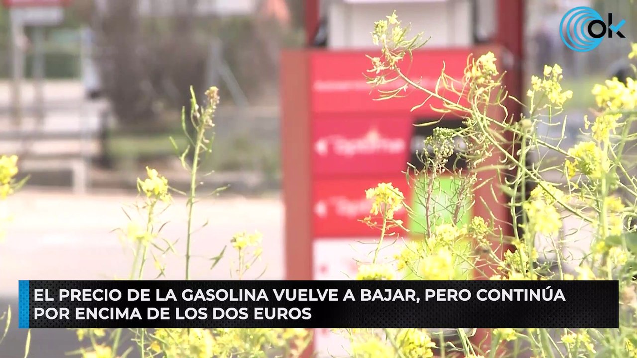 El precio de la gasolina vuelve a bajar, pero continúa por encima de los dos euros