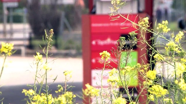 El precio de los carburantes cae por cuarta semana consecutiva