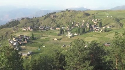 Şehre alışamayıp köyüne dönen besicinin 550 koyunluk sürüsü oldu