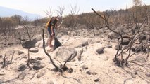 كيف يتعامل المغاربة مع حرائق الغابات المستمرة منذ 6 أيام في 