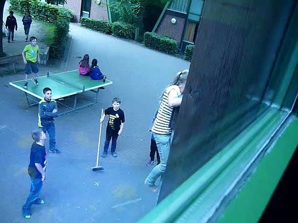 Besen vom Dach holen