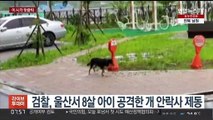 [핫클릭] 검찰, 울산서 8살 아이 공격한 개 안락사 제동 外