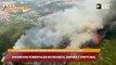Incendios forestales en Francia, España y Portugal