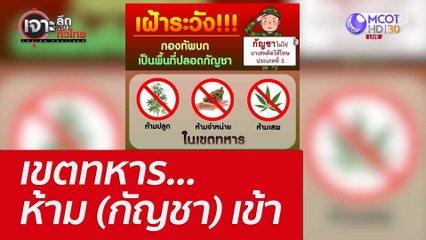 เขตทหาร...ห้าม (กัญชา) เข้า : เจาะลึกทั่วไทย (15 ก.ค. 65)
