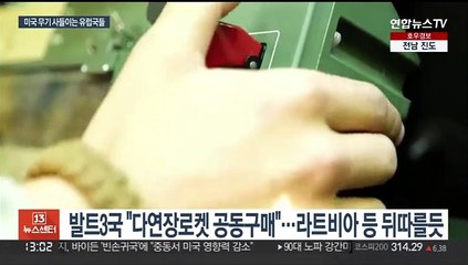 러에 안보 불안 유럽국들, 미국산 무기 앞다퉈 구매