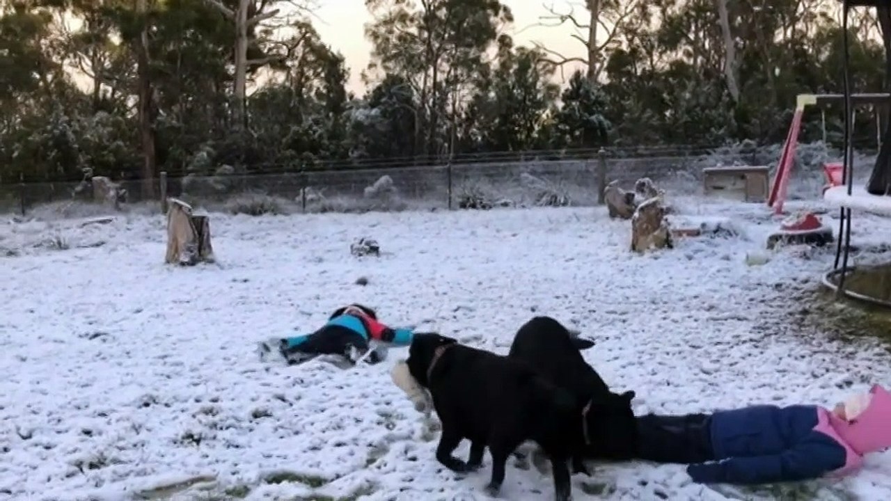 Snow falls to low lying areas across Tasmania
