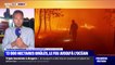 Incendies en Gironde: la situation reste très critique, 200 pompiers supplémentaires dépêchés