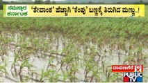 Heavy Rain Damages Crops In Davangere | Public TV