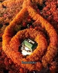 Selalu Ada Jalan....