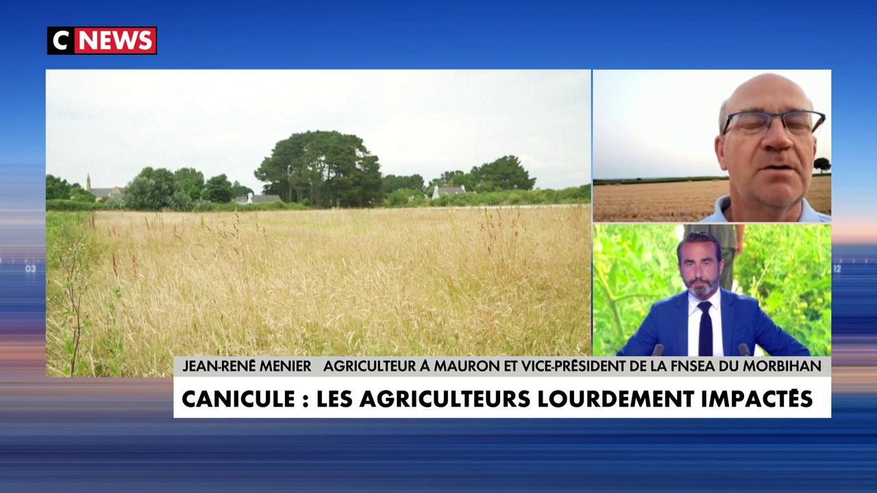 Jean-René Menier : «La canicule, ça accélère le cycle de certaines cultures et ça en ralentit d’autres»