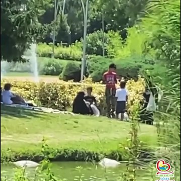 İstanbul'da bir garip ihbar: ''Parktaki kazları çalıyorlar''