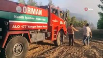 Aydın'daki yangında 30 hektar ormanlık alan zarar gördü