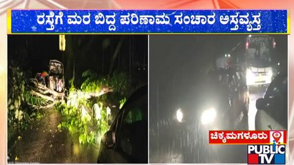 ರಸ್ತೆಗೆ ಮರ ಬಿದ್ದು ಸಂಚಾರ ಅಸ್ತವ್ಯಸ್ತ | Chikkamagaluru | Public TV