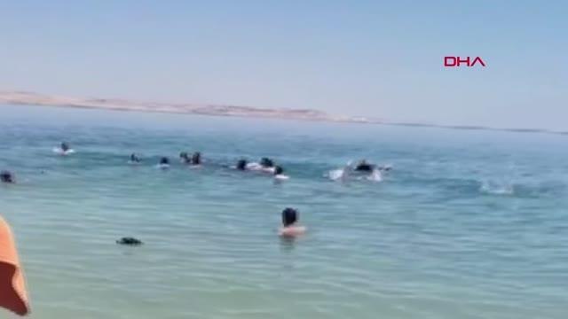 ZONGULDAK'TA MAÇTA KAVGA: 2'Sİ JANDARMA 3 YARALI, 17 GÖZALTI