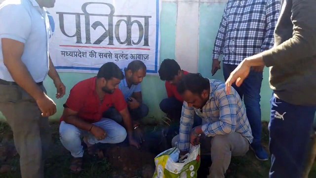 Video Story- Planting saplings to make nature green, took a pledge to