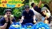 100 KG Mangoes  in My FARM!! | Actor Babloo's Farm | King Prithiveeraj